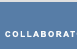 Collaborators