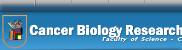 Cancer Biology Research Laboratory was established by Cairo University and Avon Foundation (USA)